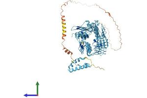 Protein Structure (PS) image for Zinc Finger Protein 569 (ZNF569) (AA 1-686) protein (His tag) (ABIN7545476)