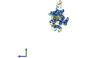 AlphaFold protein structure predicition of Human Recombinant GPR173 Protein, UniprotID Q9NS66
