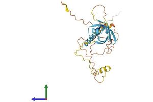 AlphaFold protein structure predicition of Mouse Recombinant Nrip2 Protein, UniprotID Q9JHR9