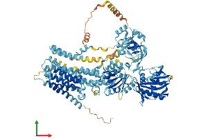 Protein Structure (PS) image for ATPase, Ca++ Transporting, Type 2C, Member 2 (ATP2C2) (AA 1-946) protein (His tag) (ABIN7552436)