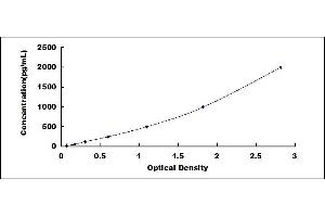 Typical standard curve (WNT7A ELISA 试剂盒)