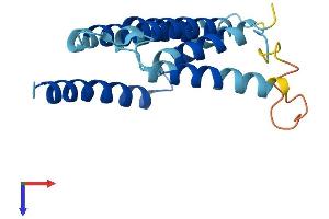 Mitochondrially Encoded NADH Dehydrogenase 6 (MT-ND6) (AA 1-174) protein (His tag)