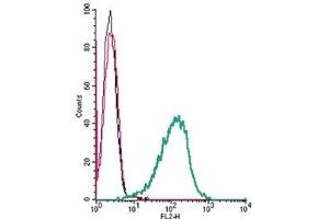 Cell surface detection of Adenosine A2A Receptor by direct flow cytometry in live intact mouse P815 mast cells: (black line) Cells.