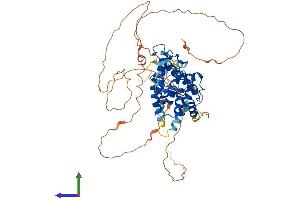 AlphaFold protein structure predicition of Mouse Recombinant Nr4a1 Protein, UniprotID P12813