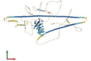 Protein Structure (PS) image for Tuberous Sclerosis 1 (TSC1) (AA 1-1161) protein (His tag) (ABIN7565018)