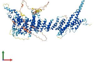 Protein Structure (PS) image for Nucleoporin 107kDa (NUP107) (AA 1-925) protein (His tag) (ABIN7554767)