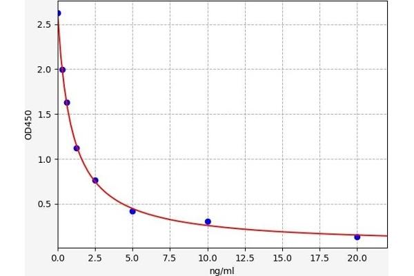 MT-RNR2-Like 6 (MTRNR2L6) ELISA 试剂盒