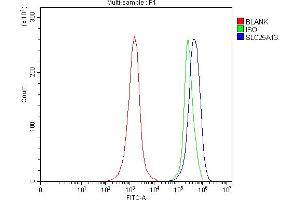 Flow Cytometry analysis of JK cells using anti-Citrin/SLC25A13 antibody (ABIN7599512). (slc25a13 抗体  (AA 1-643))