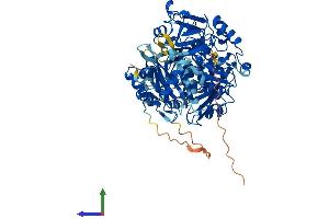 AlphaFold protein structure predicition of Human Recombinant ACSS2 Protein, UniprotID Q9NR19