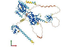 Protein Structure (PS) image for EPS8-Like 1 (EPS8L1) (AA 1-723) protein (His tag) (ABIN7547397)