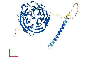 Protein Structure (PS) image for Coronin, Actin Binding Protein, 1B (CORO1B) (AA 1-484) protein (His tag) (ABIN7556283)