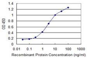 Detection limit for recombinant GST tagged TNFRSF25 is 0. (DR3/LARD 抗体  (AA 28-124))