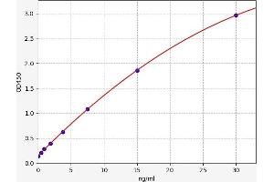 Typical standard curve (LAPTM4B ELISA 试剂盒)