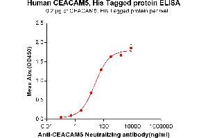 ELISA plate pre-coated by 2 μg/mL (100 μL/well) Human CEACAM5, His tagged protein (ABIN6961129) can bind Anti-CEACAM5 Antibody in a linear range of 2. (CEACAM5 Protein (His tag))