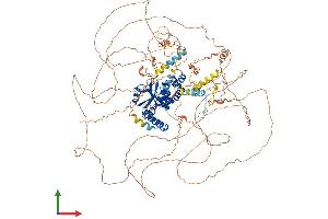 Protein Structure (PS) image for OTU Domain Containing 4 (OTUD4) (AA 1-1107) protein (His tag) (ABIN7562050)