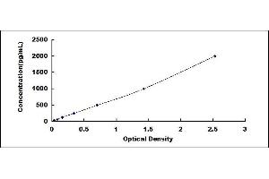 Typical standard curve (Renin ELISA 试剂盒)