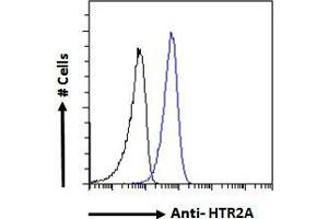 ABIN263202 Flow cytometric analysis of paraformaldehyde fixed A549 cells (blue line), permeabilized with 0. (HTR2A 抗体  (Internal Region))