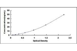 Typical standard curve (FKBP1B ELISA 试剂盒)