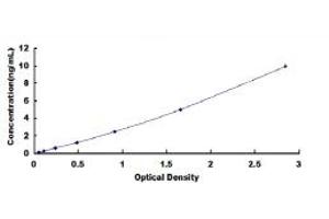 Typical standard curve (CLMP ELISA 试剂盒)