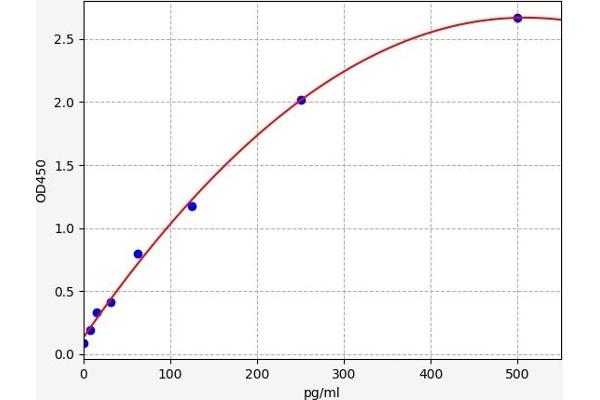 MAP1LC3A ELISA 试剂盒