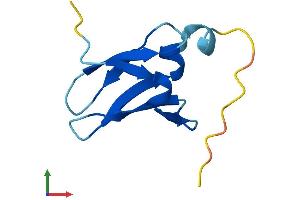 AlphaFold protein structure predicition of Human Recombinant DPH3P1 Protein, UniprotID Q9H4G8