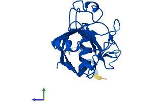 Protein Structure (PS) image for Peptidylprolyl Isomerase (Cyclophilin)-Like 1 (PPIL1) (AA 1-166) protein (His tag) (ABIN7550863)