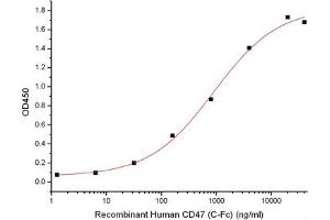 ELISA image for Signal-Regulatory Protein alpha (SIRPA) (Active) protein (Biotin,His-Avi Tag) (ABIN7319781)