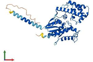 AlphaFold protein structure predicition of Human Recombinant GNA12 Protein, UniprotID Q03113