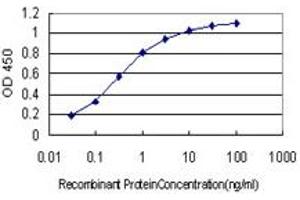Detection limit for recombinant GST tagged SNAP23 is approximately 0. (SNAP23 抗体  (AA 1-211))
