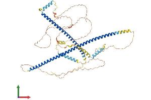 AlphaFold protein structure predicition of Mouse Recombinant Hap1 Protein, UniprotID O35668