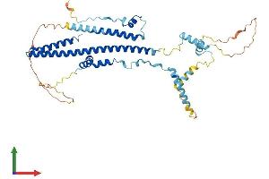 Protein Structure (PS) image for Transcriptional Adaptor 3 (TADA3) (AA 1-432) protein (His tag) (ABIN7544137)