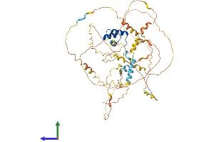 Protein Structure (PS) image for Aristaless Related Homeobox (ARX) (AA 1-562) protein (His tag) (ABIN7552342)