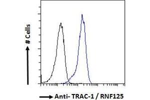 ABIN185241 Flow cytometric analysis of paraformaldehyde fixed HeLa cells (blue line), permeabilized with 0. (RNF125 抗体  (C-Term))