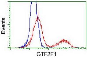 HEK293T cells transfected with either RC201294 overexpress plasmid (Red) or empty vector control plasmid (Blue) were immunostained by anti-GTF2F1 antibody (ABIN2454915), and then analyzed by flow cytometry. (GTF2F1 抗体)