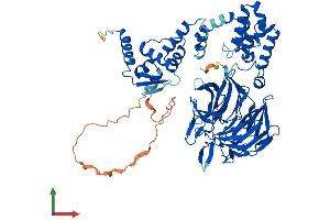Protein Structure (PS) image for Kelch-Like 14 (KLHL14) (AA 1-630) protein (His tag) (ABIN7557887)