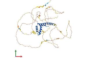Protein Structure (PS) image for Thymus High Mobility Group Box Protein (TOX) (AA 1-526) protein (His tag) (ABIN7544665)