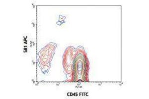 Flow Cytometry (FACS) image for anti-CD34 (CD34) antibody (APC) (ABIN2658628) (CD34 抗体  (APC))