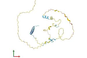 Protein Structure (PS) image for Cell Division Cycle Associated 5 (CDCA5) (AA 1-252) protein (His tag) (ABIN7553224)