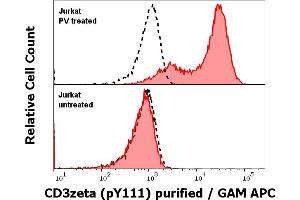 Anti-Hu CD3 zeta (pY111) purified antibody (clone EM-55) works in Flow Cytometry application Analysis of the antibody staining was performed on Jurkat cells treated or untreated with pervanadate (PV) prior to the fixation and permeabilization of cell suspension with cold methanol. (CD247 抗体  (pTyr111, pTyr123))