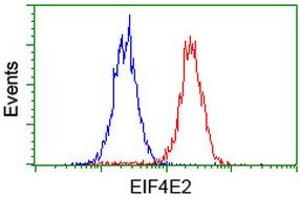 Flow cytometric Analysis of Hela cells, using anti-EIF4E2 antibody (ABIN2454230), (Red), compared to a nonspecific negative control antibody, (Blue). (EIF4E2 抗体)