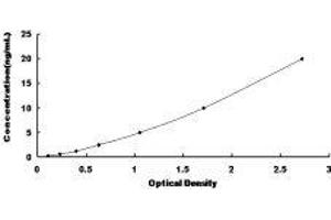 Cysteinyl Leukotriene Receptor 1 (CYSLTR1) ELISA Kit