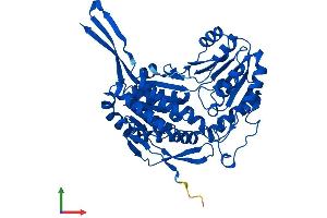 Protein Structure (PS) image for Aldehyde Dehydrogenase 8 Family, Member A1 (ALDH8A1) (AA 1-487) protein (His tag) (ABIN7558600)