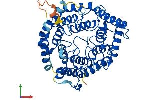 AlphaFold protein structure predicition of Human Recombinant LANCL3 Protein, UniprotID Q6ZV70