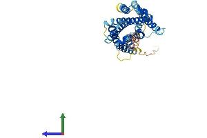 Protein Structure (PS) image for MAS-Related GPR, Member X1 (MRGPRX1) (AA 1-322) protein (His tag) (ABIN7554605)