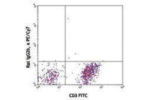 Flow Cytometry (FACS) image for anti-Chemokine (C-X3-C Motif) Receptor 1 (CX3CR1) antibody (PE-Cy7) (ABIN2659341) (CX3CR1 抗体  (PE-Cy7))