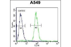 SOX3 Antibody (Center ) (ABIN656009 and ABIN2845385) flow cytometric analysis of A549 cells (right histogram) compared to a negative control cell (left histogram). (SOX3 抗体  (AA 189-218))