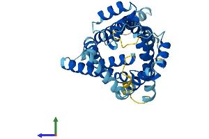 Protein Structure (PS) image for Solute Carrier Family 25 (Mitochondrial Carrier, Peroxisomal Membrane Protein, 34kDa), Member 17 (SLC25A17) (AA 1-307) protein (His tag) (ABIN7554997)