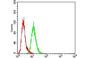 Flow cytometric analysis of Hela cells using FSHR mouse mAb (green) and negative control (red). (FSHR 抗体  (AA 18-366))
