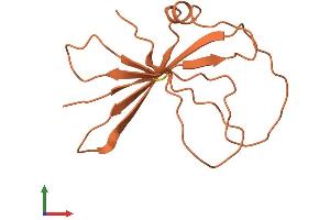 AlphaFold protein structure predicition of Human Recombinant FAM223A Protein, UniprotID Q8IWN6