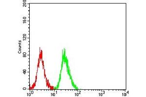 Flow cytometric analysis of SH-SY5Y cells using PRKN mouse mAb (green) and negative control (red). (Parkin 抗体  (AA 1-144))